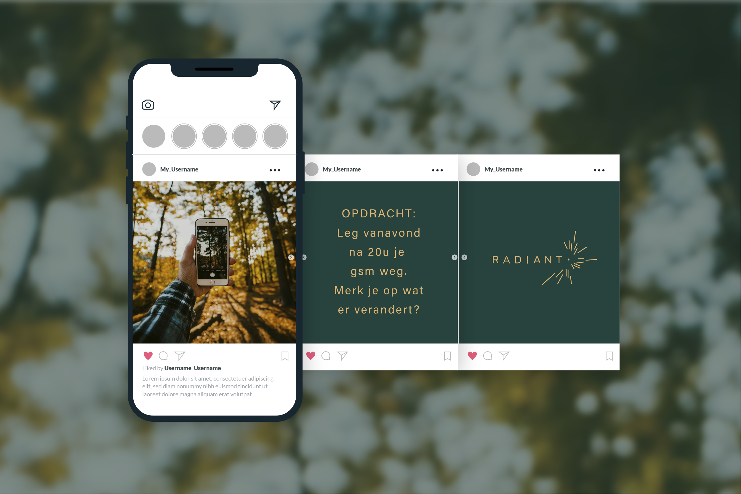 Petrol & Vonk - Social media contentcreation West-Vlaanderen - Ieper - Camille Campelle Radiant - Social media strategy - 2
