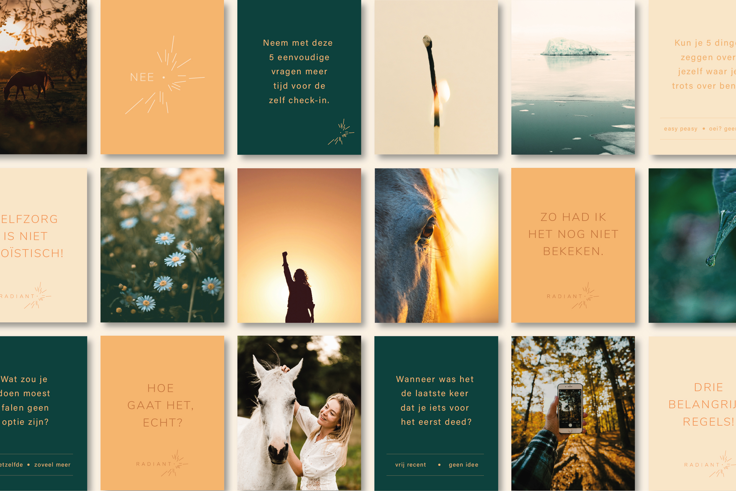 Petrol & Vonk - Social media contentcreation West-Vlaanderen - Ieper - Camille Campelle Radiant - Social media strategy