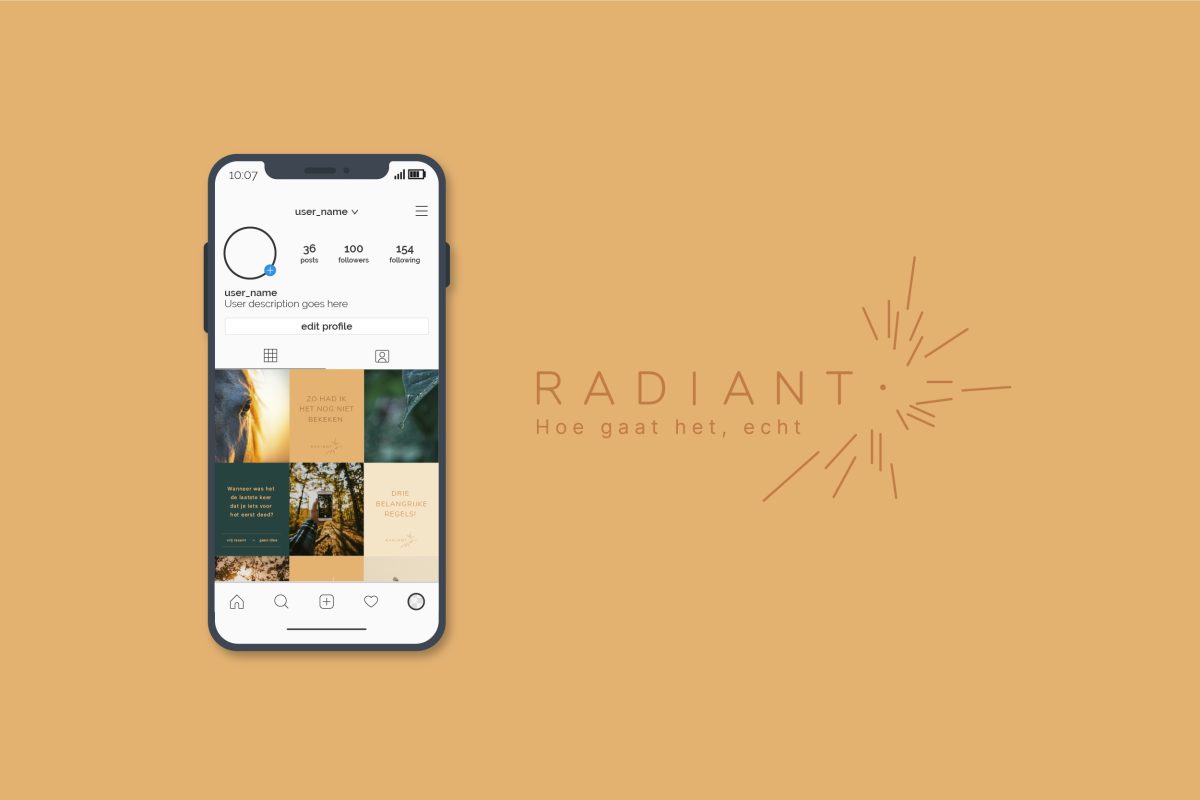 Petrol & Vonk - Social media contentcreation West-Vlaanderen - Ieper - Camille Campelle Radiant - Social media strategy - 5